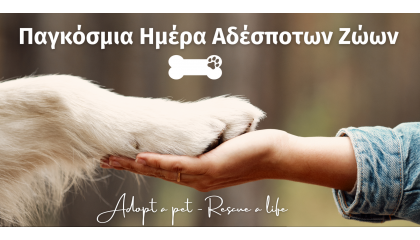 Παγκόσμια Ημέρα Αδέσποτων Ζώων