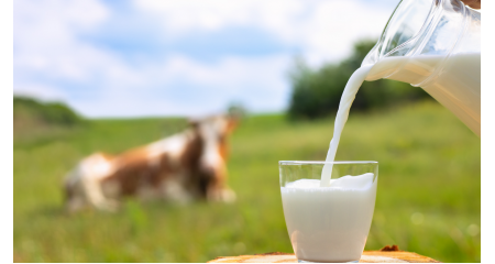 Αντιμετώπιση της αστάθειας στην παραγωγή γάλακτος των μηρυκαστικών
