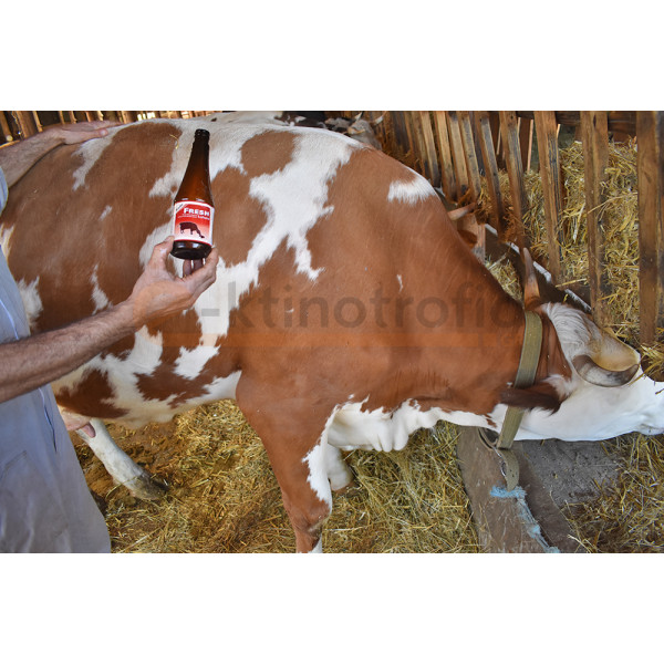 Rovita Fresh 500ml -  Πόσιμο διάλυμα για την ενίσχυση του τοκετού και ενδυνάμωση της αγελάδας
