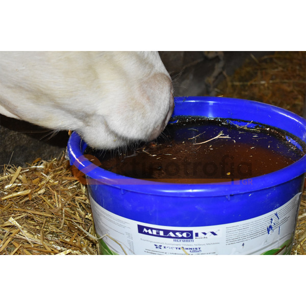 Melasolyx Ruminant 25kg