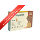 Simparica 40 - 60kg 
