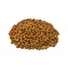 Nutridog Premium 20kg