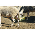 Crystamolyx Sheep and Goat 25kg 