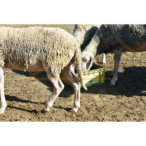 Crystamolyx Sheep and Goat 25kg 