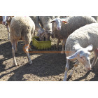 Crystamolyx Sheep and Goat 25kg 