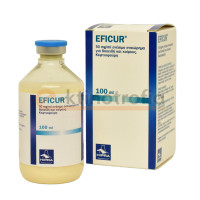 Eficur 100ml