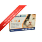Stronghold Plus Cat 5mg (2,5 - 5kg)