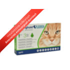 Stronghold Plus Cat 10mg (5 - 10kg)
