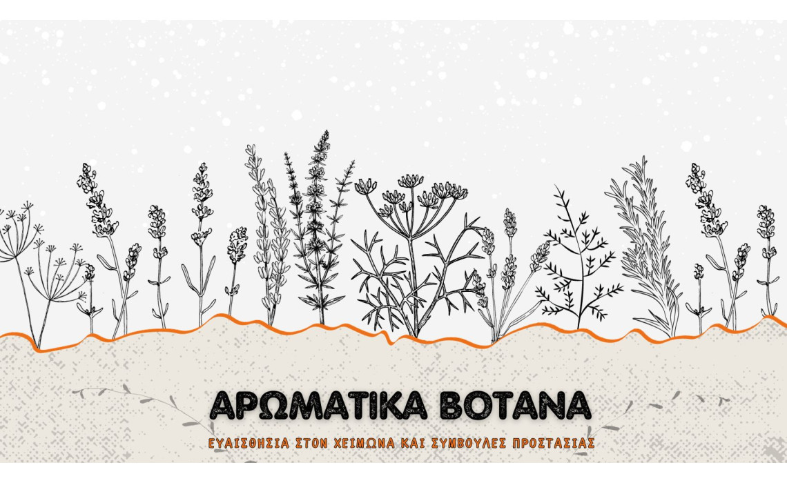 Αρωματικά βότανα: Ευαισθησία στον χειμώνα και συμβουλές προστασίας