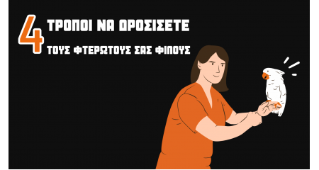 Πώς να κρατήσετε τα καναρίνια και τους παπαγάλους σας δροσερούς κατά τις ζεστές μέρες;