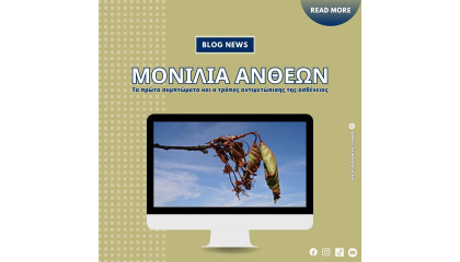 Μονίλια ανθέων