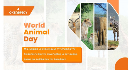 Παγκόσμια Ημέρα Ζώων: Η σημασία της διαφύλαξης της βιοποικιλότητας