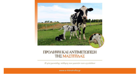 Πρόληψη και αντιμετώπιση της μαστίτιδας στις αγελάδες